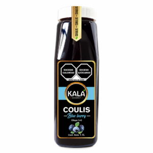 Coulis BlueBerry 1 lt